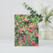 Bergen in het park briefkaart (Staand voorkant)