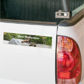 Bergen in New Hampshire Bumpersticker (Op Truck)