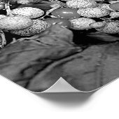 Bergen in zwarte en witte Natuur Poster (Hoek)