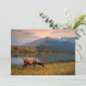 Bergen | Jacques Mountain Range Alberta Canada Bedankkaart (Staand voorkant)