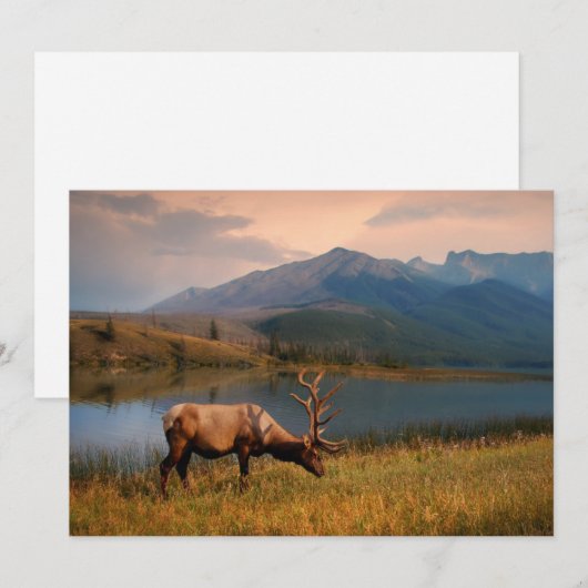 Bergen | Jacques Mountain Range Alberta Canada Bedankkaart (Voorkant / Achterkant)