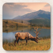 Bergen | Jacques Mountain Range Alberta Canada Bier Onderzetter (Voorkant)