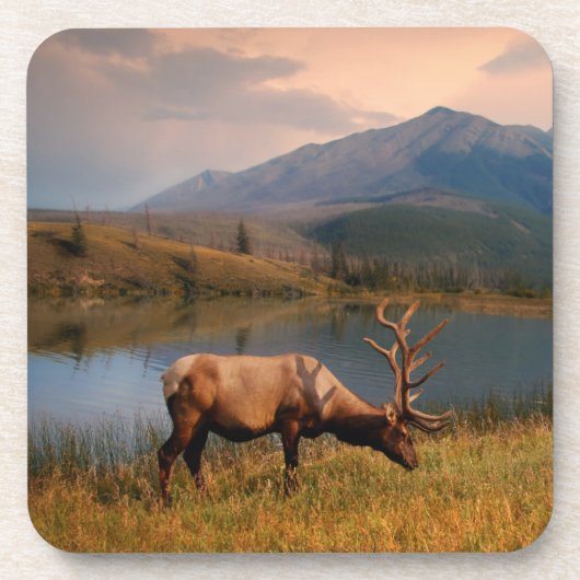 Bergen | Jacques Mountain Range Alberta Canada Bier Onderzetter (Voorkant)