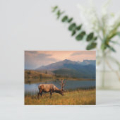 Bergen | Jacques Mountain Range Alberta Canada Briefkaart (Staand voorkant)