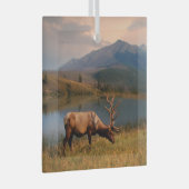 Bergen | Jacques Mountain Range Alberta Canada Glas Ornament (Voorkant Rechts)