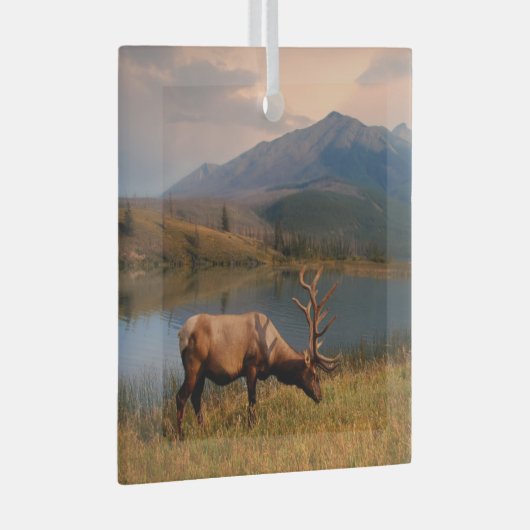 Bergen | Jacques Mountain Range Alberta Canada Glas Ornament (Voorkant Rechts)