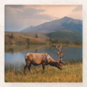 Bergen | Jacques Mountain Range Alberta Canada Glazen Onderzetter (Voorkant)