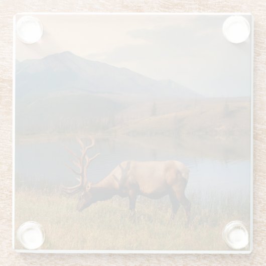 Bergen | Jacques Mountain Range Alberta Canada Glazen Onderzetter (Achterkant)