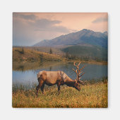 Bergen | Jacques Mountain Range Alberta Canada Magneet (Voorkant)
