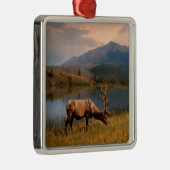 Bergen | Jacques Mountain Range Alberta Canada Metalen Ornament (Rechts)