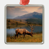 Bergen | Jacques Mountain Range Alberta Canada Metalen Ornament (Voorkant)