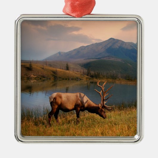 Bergen | Jacques Mountain Range Alberta Canada Metalen Ornament (Voorkant)