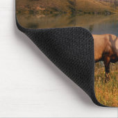 Bergen | Jacques Mountain Range Alberta Canada Muismat (Hoek)