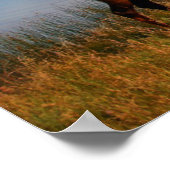 Bergen | Jacques Mountain Range Alberta Canada Poster (Hoek)