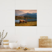 Bergen | Jacques Mountain Range Alberta Canada Poster (Keuken)