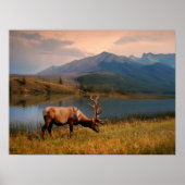 Bergen | Jacques Mountain Range Alberta Canada Poster (Voorkant)