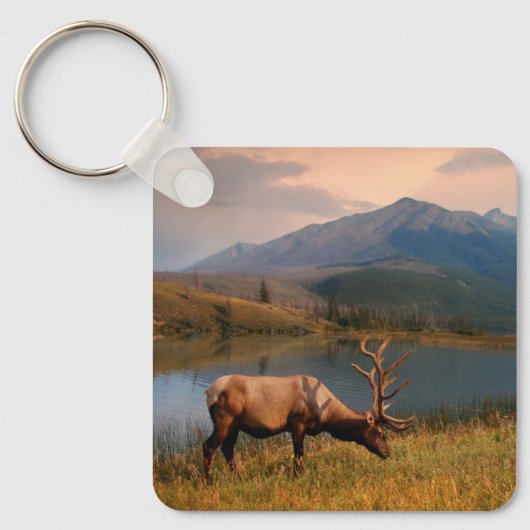 Bergen | Jacques Mountain Range Alberta Canada Sleutelhanger (Voorkant)