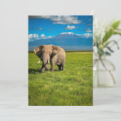 Bergen | Kilimanjaro Tanzania, Afrika Bedankkaart (Staand voorkant)