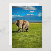 Bergen | Kilimanjaro Tanzania, Afrika Bedankkaart (Voorkant / Achterkant)