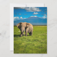 Bergen | Kilimanjaro Tanzania, Afrika