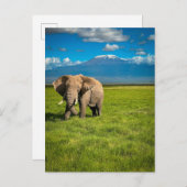 Bergen | Kilimanjaro Tanzania, Afrika Briefkaart (Voorkant / Achterkant)