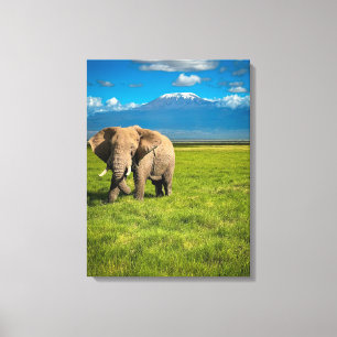 Bergen   Kilimanjaro Tanzania, Afrika Canvas Afdruk