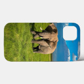 Bergen | Kilimanjaro Tanzania, Afrika Case-Mate iPhone Case (Achterkant (horizontaal))