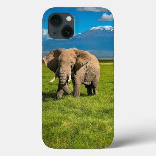 Bergen   Kilimanjaro Tanzania, Afrika Case-Mate iPhone Case