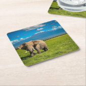 Bergen | Kilimanjaro Tanzania, Afrika Kartonnen Onderzetters (Schuin)