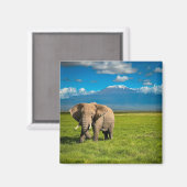 Bergen | Kilimanjaro Tanzania, Afrika Magneet (Voorkant / Achterkant)