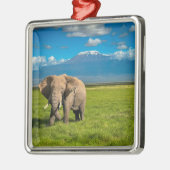 Bergen | Kilimanjaro Tanzania, Afrika Metalen Ornament (Links)