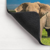 Bergen | Kilimanjaro Tanzania, Afrika Muismat (Hoek)