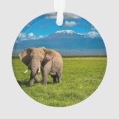 Bergen | Kilimanjaro Tanzania, Afrika Ornament (achterkant)