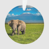 Bergen | Kilimanjaro Tanzania, Afrika Ornament (voorkant)