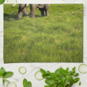 Bergen | Kilimanjaro Tanzania, Afrika Theedoek (Gevouwen)