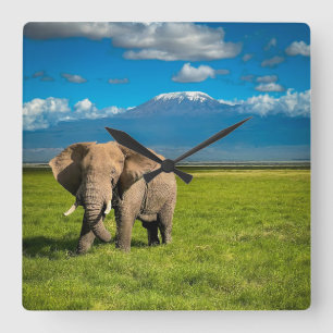 Bergen   Kilimanjaro Tanzania, Afrika Vierkante Klok