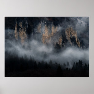 Bergen met mist door bronbos poster