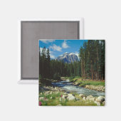 Bergen | Nationaal Park Banff Magneet (Voorkant / Achterkant)