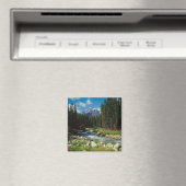 Bergen | Nationaal Park Banff Magneet (Insitu (Vaatwasser))