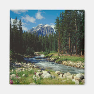 Bergen   Nationaal Park Banff Magneet