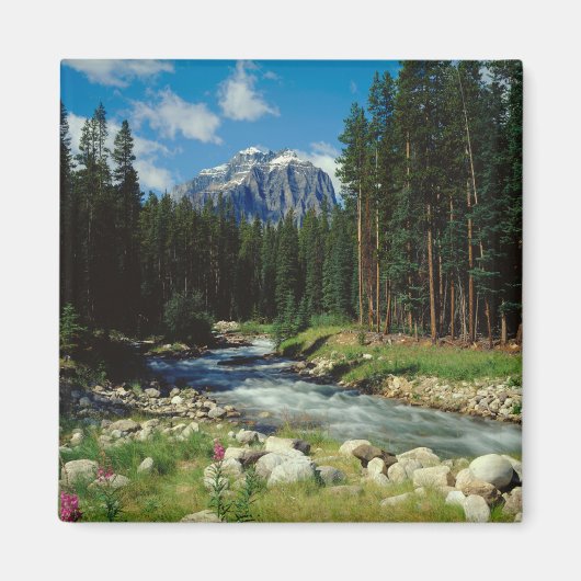 Bergen | Nationaal Park Banff Magneet (Voorkant)