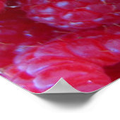 Bergen - Neem 4 Poster (Hoek)