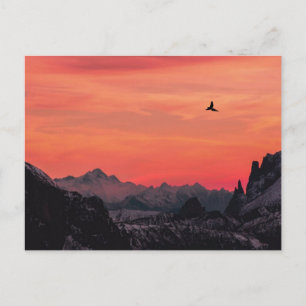 Bergen Oranje Zonsondergang Vogel in de lucht Briefkaart
