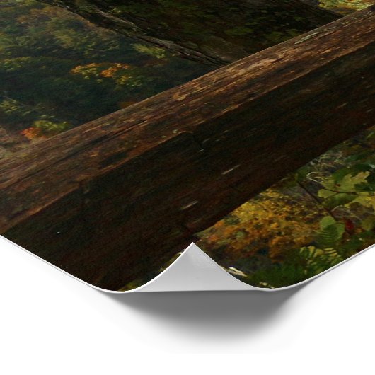 Bergen Poster (Hoek)