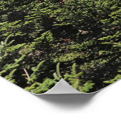 bergen Psalm 121:1-2 Faith Poster (Hoek)