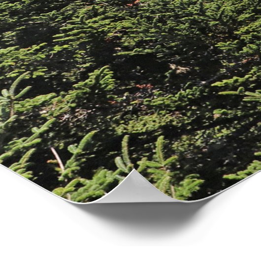 bergen Psalm 121:1-2 Faith Poster (Hoek)