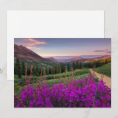 Bergen | Rocky Mountains, Colorado Bedankkaart (Voorkant / Achterkant)