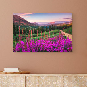 Bergen   Rocky Mountains, Colorado Canvas Afdruk