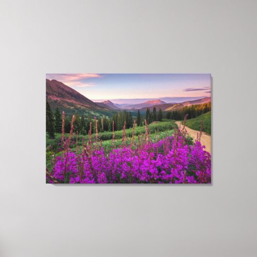 Bergen | Rocky Mountains, Colorado Canvas Afdruk (Voorkant)