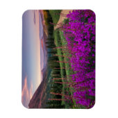 Bergen | Rocky Mountains, Colorado Magneet (Verticaal)